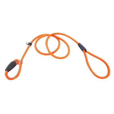 Chain Dog Leash With Adjustable Training Rope