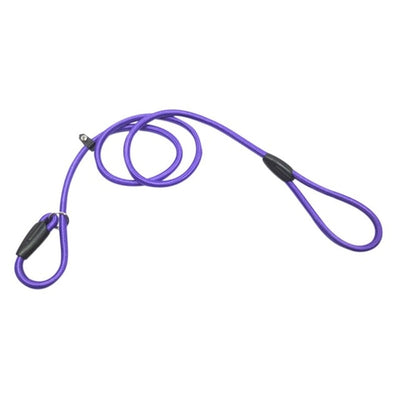 Chain Dog Leash With Adjustable Training Rope