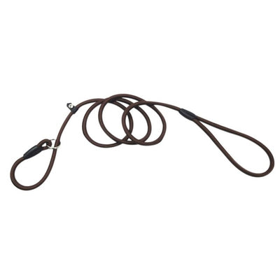 Chain Dog Leash With Adjustable Training Rope
