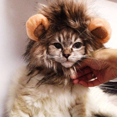 Cute Pet Cat Costume Lion Mane Wig