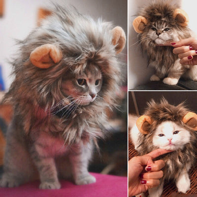 Cute Pet Cat Costume Lion Mane Wig
