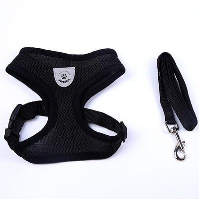 Running Dog Leash Puppy Dog