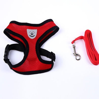Running Dog Leash Puppy Dog