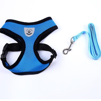 Running Dog Leash Puppy Dog